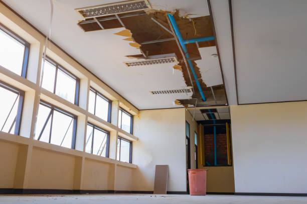 Best Carpet water damage restoration  in Tresckow, PA