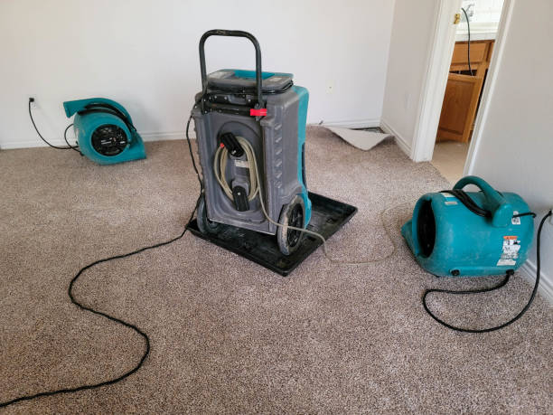 Best Ceiling water damage repair  in Tresckow, PA