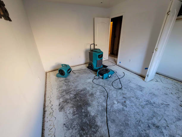 Best Professional water damage repair  in Tresckow, PA