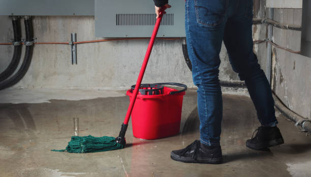 Best Fire Damage Restoration  in Tresckow, PA