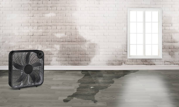 Best 24-hour water damage restoration  in Tresckow, PA