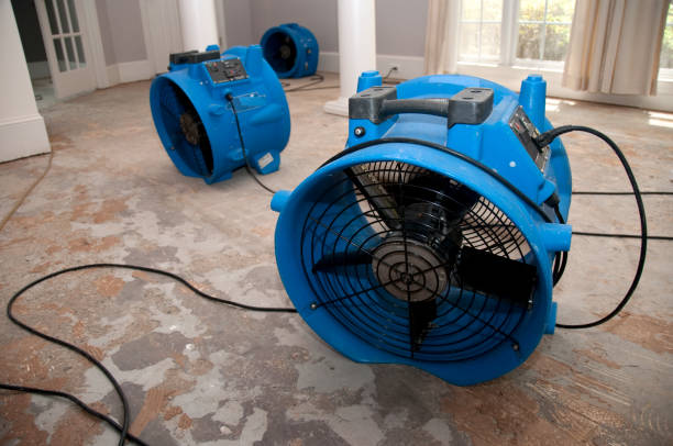 Best Professional water damage repair  in Tresckow, PA